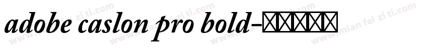 adobe caslon pro bold字体转换